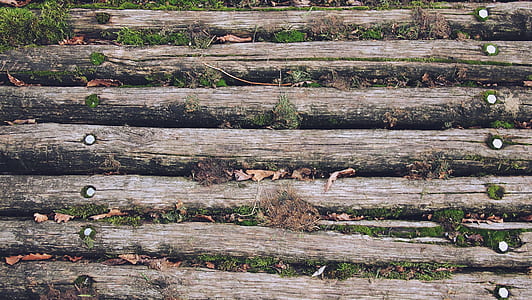 brown wooden floor thumbnail