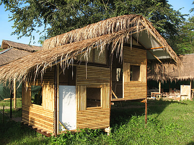 house near tree thumbnail