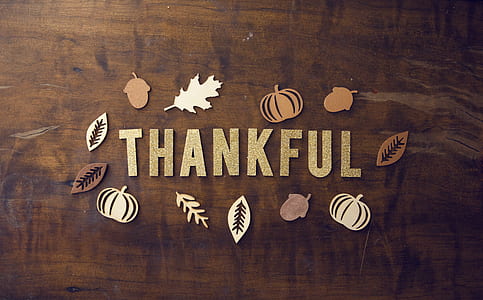 thankful decors thumbnail