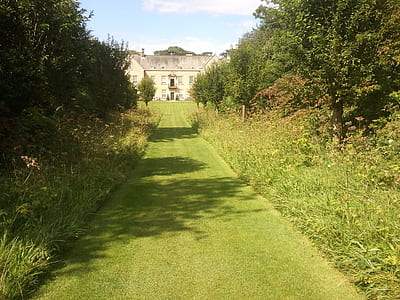 grass field near mansion thumbnail