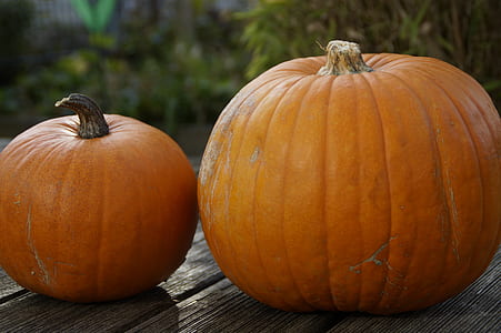 two pumpkins on gray wooden surface thumbnail