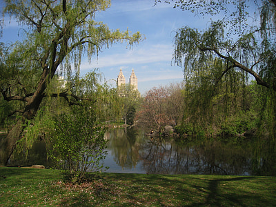 lake surrounded by trees thumbnail