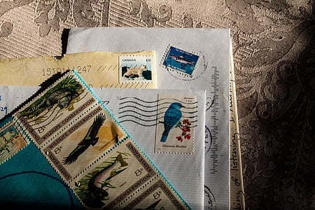 assorted animal-print postage stamps thumbnail