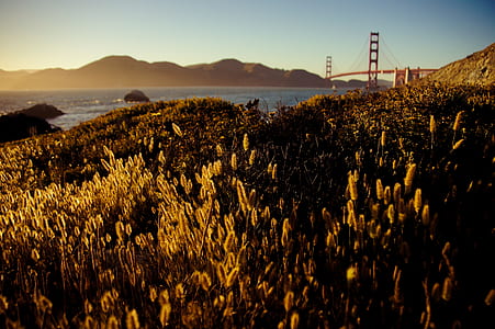 Golden Gate Bridge, San Francisco thumbnail