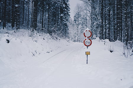 bicycle sign on post thumbnail