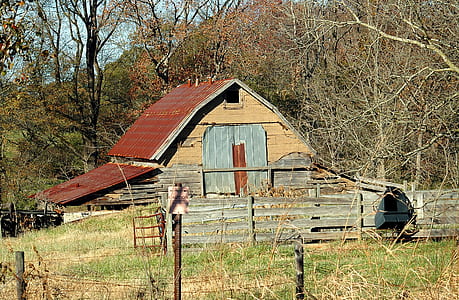 red and brown wooden house in woods thumbnail