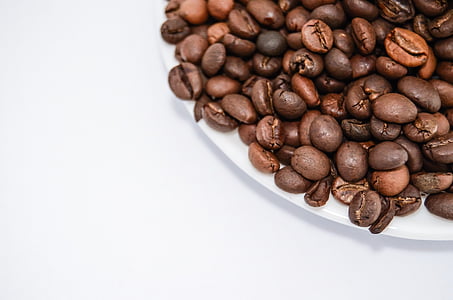 plate of coffee beans thumbnail