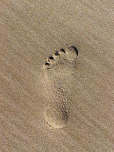 Footprint, Tracks In The Sand thumbnail