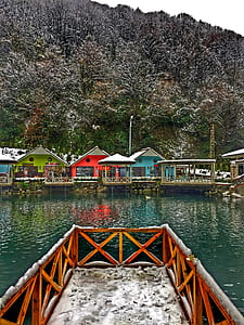 Photo of Cottages Beside Sea Surrounded by Plants thumbnail