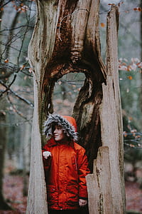 man in red jacket inside tree trunk thumbnail
