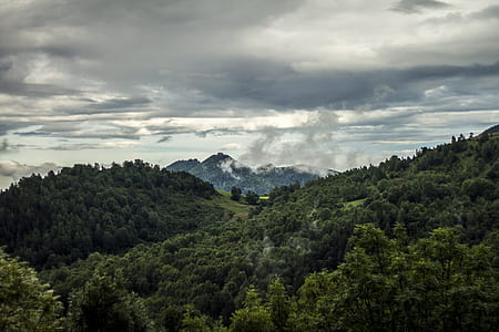 green trees under cloudy sky during daytime thumbnail