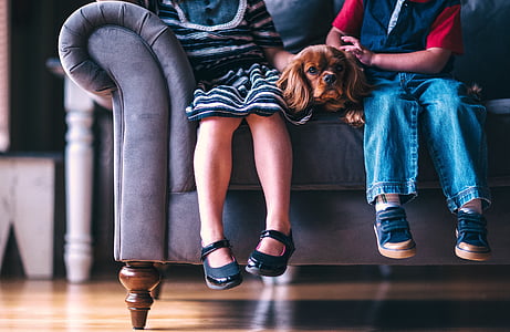 two people sitting on gray sofa thumbnail