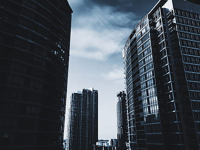 low angle photograph of high rise building thumbnail