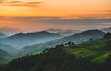 green trees on mountain at daytime thumbnail