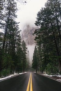 black concrete road near trees thumbnail