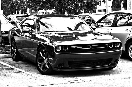 grayscale photo of Dodge Challenger coupe thumbnail
