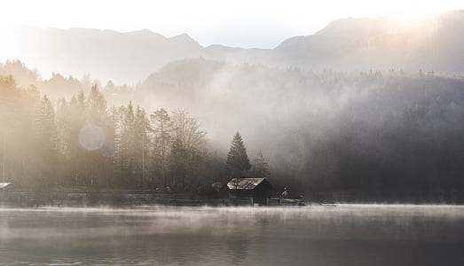 brown cabin near body of water thumbnail