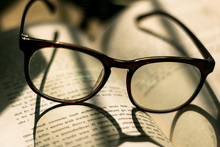 glasses, reading, book, sunlight, warm light thumbnail