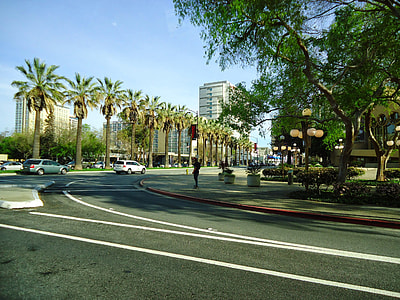 Downtown San Jose with trees and street in San Jose, California thumbnail