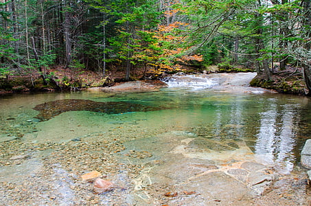 calm body of water surrounded by trees thumbnail