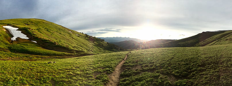 green grass field thumbnail