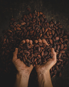 person holding coffee beans thumbnail