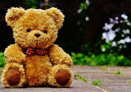 brown bear plush toy thumbnail