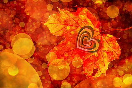 maple leaf thumbnail
