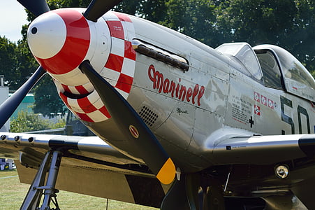 gray Marinell Curtiss P-40 Warhawk thumbnail