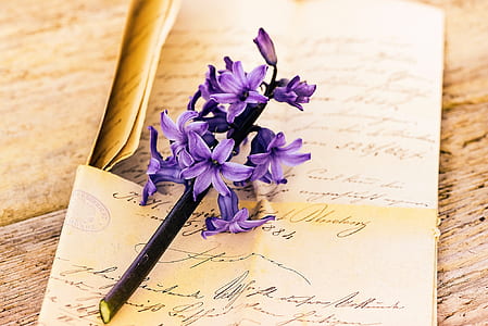 purple flowers on paper thumbnail