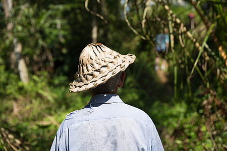An old man in straw hat walking in the forest thumbnail