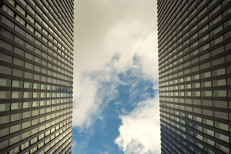 Skyscraper Buildings thumbnail