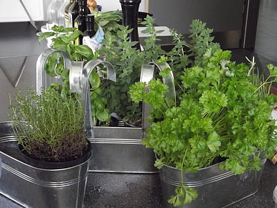green leafed plants thumbnail