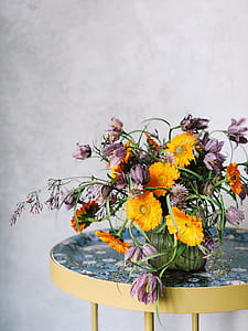 Potted Yellow and Purple Cluster Flowers thumbnail