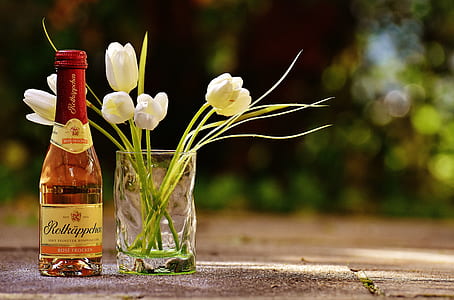 white flowers thumbnail