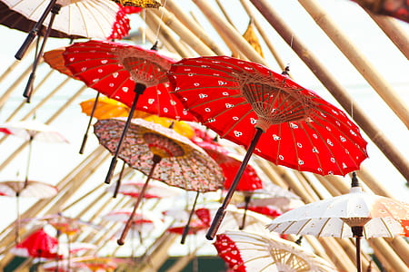 several oil paper umbrella hanged on building thumbnail