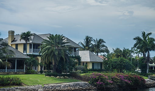 gray and yellow house near palm trees at daytime thumbnail
