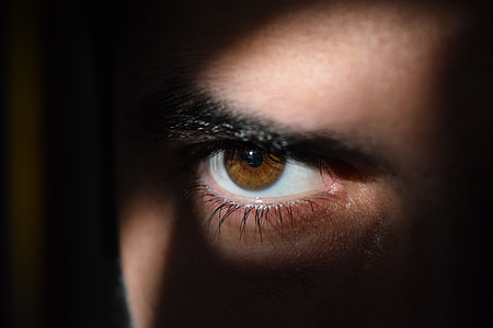 human's left brown eye thumbnail