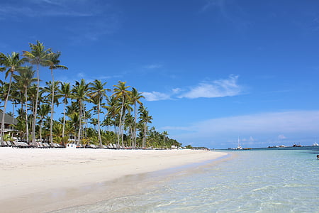 seashore with trees thumbnail