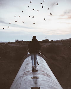 person wearing black shirt talking on top of grey metal tunnel near flock of bird flying under white clouds during daytime thumbnail