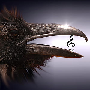 brown bird and g-clef note thumbnail