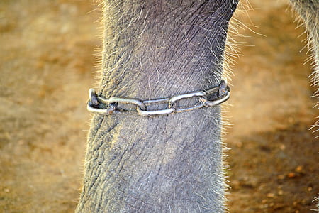grey metal chain link thumbnail