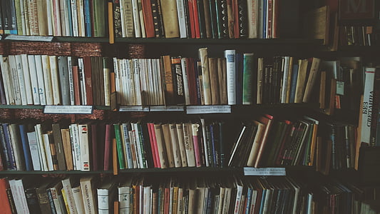 book lot thumbnail