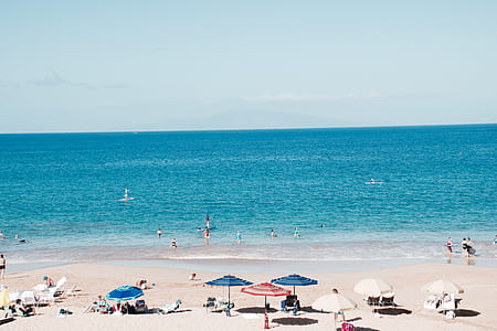 bird's-eye photography of people at seashore thumbnail