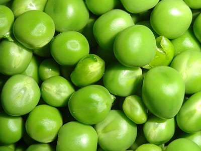 oval green fruits thumbnail