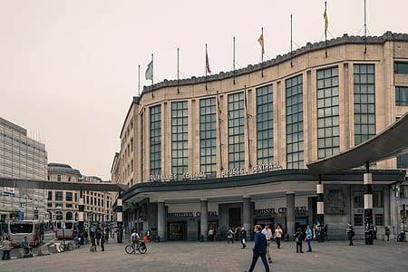 group of people beside building during daytime thumbnail