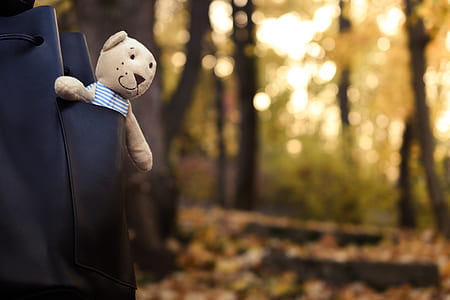 brown bear plush toy in black bag thumbnail