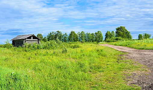 gray log cabin surrounded by forest thumbnail