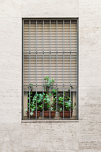 gray steel window gate with three plants inside thumbnail