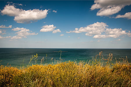 brown grass near body of water under blue and white sky at daytime thumbnail